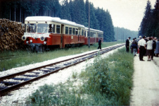 T 31 und TA 253/254 "Ziehharmonika" im Bahnhof Brünstholz anlässlich einer Sonderfahrt des Vereins der Härtsfelder, Mitte der 1960er Jahre